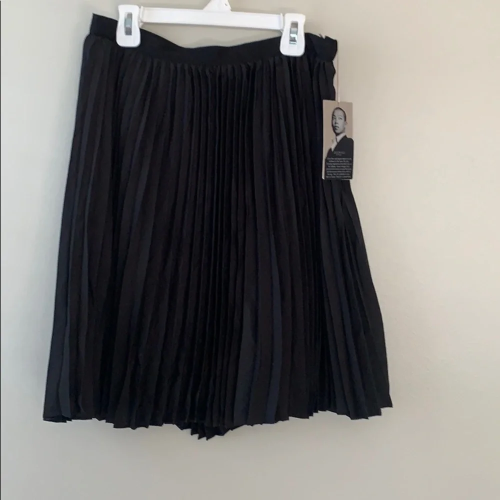 NWT Jason Wu Pleated Skirt